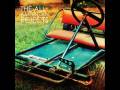 videos de swing swing (by the all american rejects)