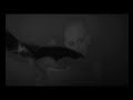 parov stelar nosferatu