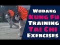 Training at Wudang (Taoist Nei Gong)
