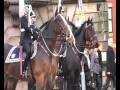 Nottinghamshire Police Authority's Mounted Division Part 1