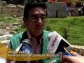 Perros matan a alpaca y hieren a otras dos en zoologico de Huancayo
