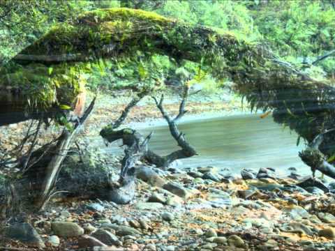 how to perform nyasa