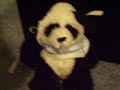 Webkinz Fashion Show