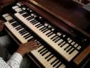 Organ Freestyle