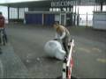 Unicycling video - S.C.U.M in Boscombe
