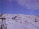 Let go Tobogganing Let go Tobogganing