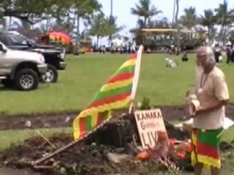 how to replant kalo