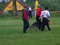 Невский IPOдром 2010, B-81|1. Рядом - высокое хорошо <br/>2. Сидеть из движения - недостаточно (лег вместо сидеть) <br/>3. Лежать из движения - высокое очень хорошо <br/>4. Стоять из движения - очень хорошо <br/>5. Поднос аппорта 2 кг - хорошо <br/>6. Аппорт с метровым барьером - еще очень хорошо <br/>7. Аппорт горка - высокое хорошо <br/>8. Высыл - хорошо <br/>9. Выдержка - отлично