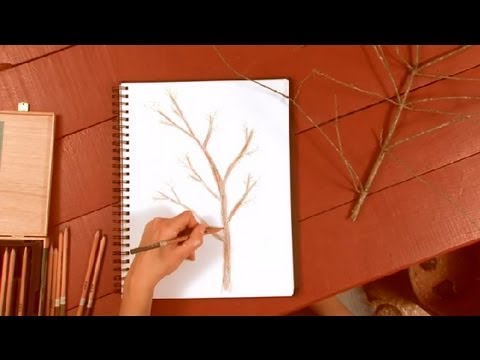 how to draw tree branches