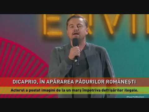 Leonardo DiCaprio apără pădurile din România