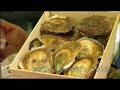 video turismo santa pola