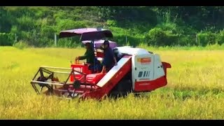 Đảng bộ xã Thượng Yên Công: Sơ kết thực hiện nghị quyết giữa nhiệm kỳ 2015-2020