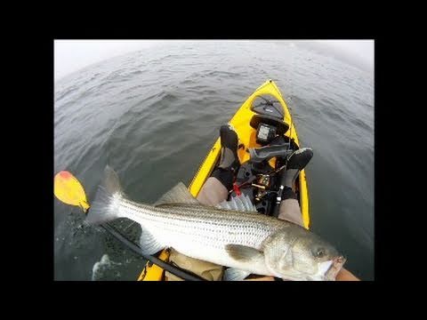 Striped Bass fishing with tube and worm