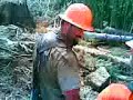 Pacific Northwest logging on the ground #5