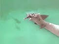 Surfer Chick gets eaten by Shark Attack!