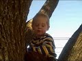 Grayson up a tree