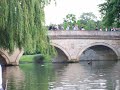 Trinity College Choir Punt Concert