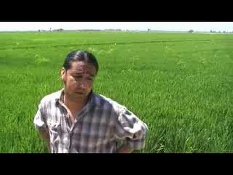 Vid�o de Tony Sandoval