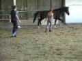 videos de Adonnis Loose Jumping