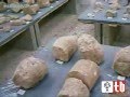 I Giganti di Monti Prama
