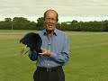 Get your sports club on ITV Local Get your sports club on ITV Local