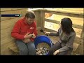 Five News | Pint-sized Porkers Five News | Pint-sized Porkers
