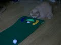 koochi koo^..^