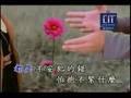 張韶涵 - 不想懂得 (KTV)