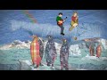 i created this for the weepies hideaway music video contest. it was not chosen as a finalist. the video shows a world made out of fabric for the band to travel through via the back of whale made out of old blue jeans . they encounter quilt stars, carpet planets, cotton clouds, and plaid penguins during the journey. i made all the visuals. the music is the song hideaway by the weepies. the finalists can be found here: http://www.imeem.com/theweepiesofficial/playlist/4p9xeesi/hideaway_finalists_video_playlist/
for hd quality go here: http://www.vimeo.com/1355484
- richie gelles �2008 http://www.sellegr.com