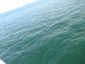 videos de WISCONSIN #3