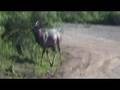Bliss N Eso - Africa Video Blog - Day 7