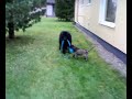 Roosa and Venla playing