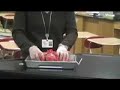 Deer lungs (aka what inflating lungs look like) Lungs and Breathing