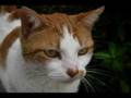 Remembering Leo