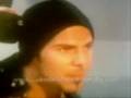 videos de Video de gato.. concurso jab foro