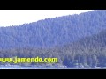 Alaska Is Awesome! (Dall Porpoise HD)