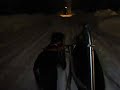 Beauceron Dog Carting in Snow