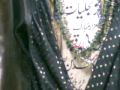 videos de Bibi Paak Daman Lahore Pakistan 01