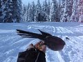 Human bird feeder