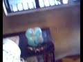 ghost for real !!!!!