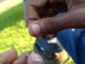 un joint ça colle !!! un joint ça colle !!!