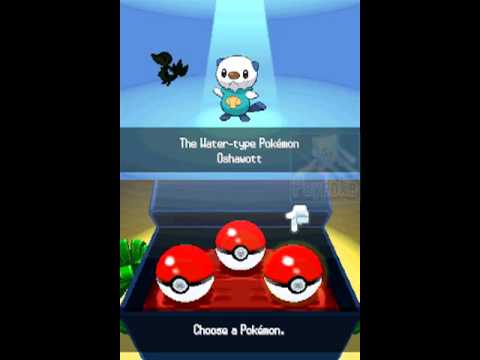 how to start a new game in pokemon white