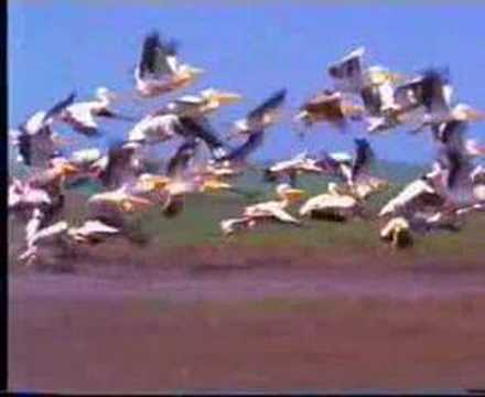 Trips in Danube Delta