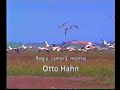 Trips in Danube Delta