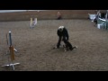 Nikolauscup-shari-A0.wmv