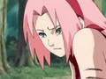 NaruSaku {Promise Of A Lifetime} V.0.75