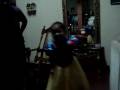 mi bebe bailando mi burrito sabanero