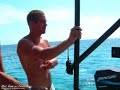 A collection of pics