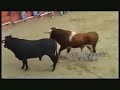 festa-major-cardona-2007-2.html