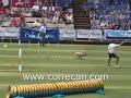 perro de Aguas \"Garbancito\"  campe�n agility